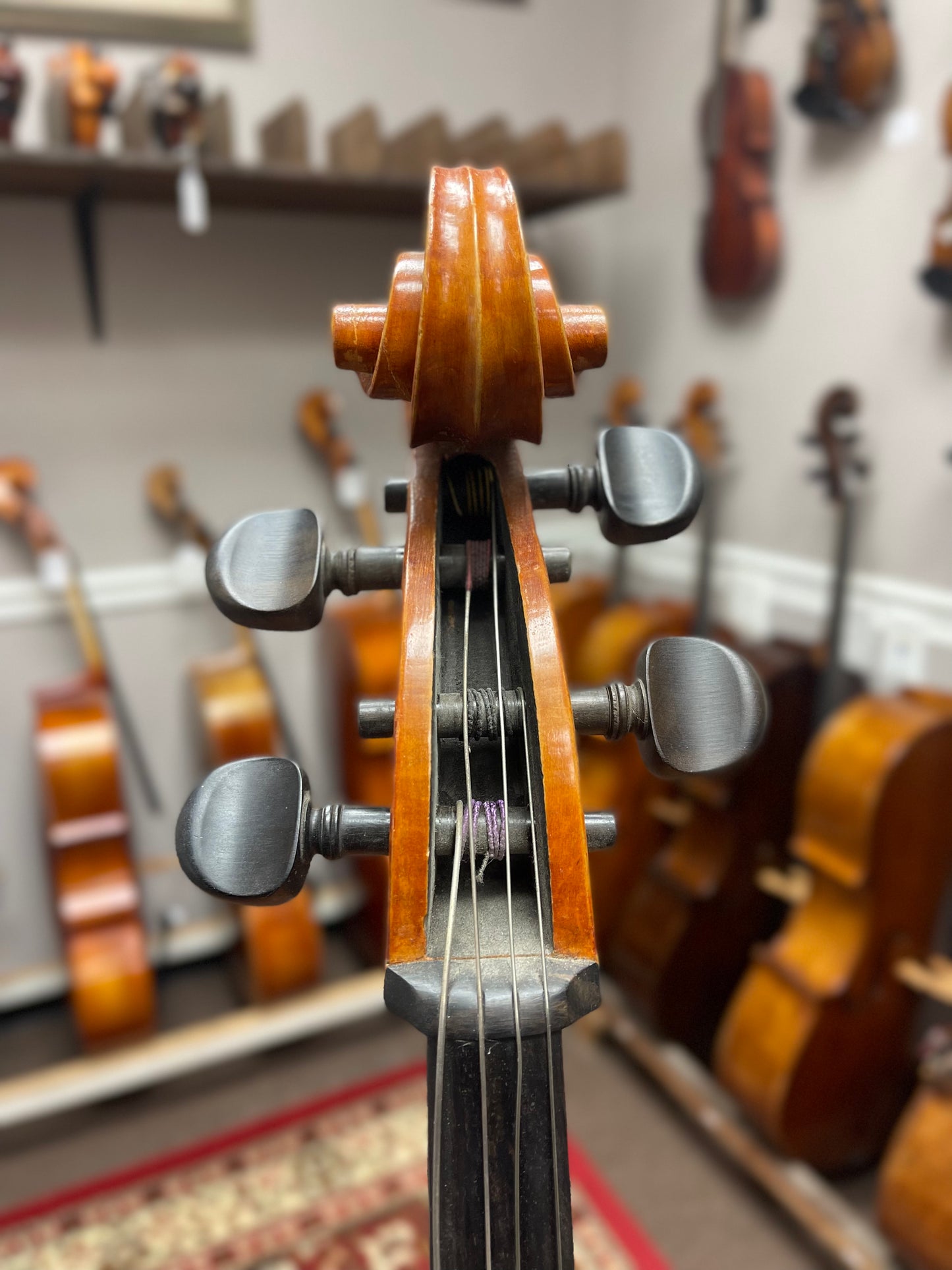 Friedrich Wilhelm German Cello