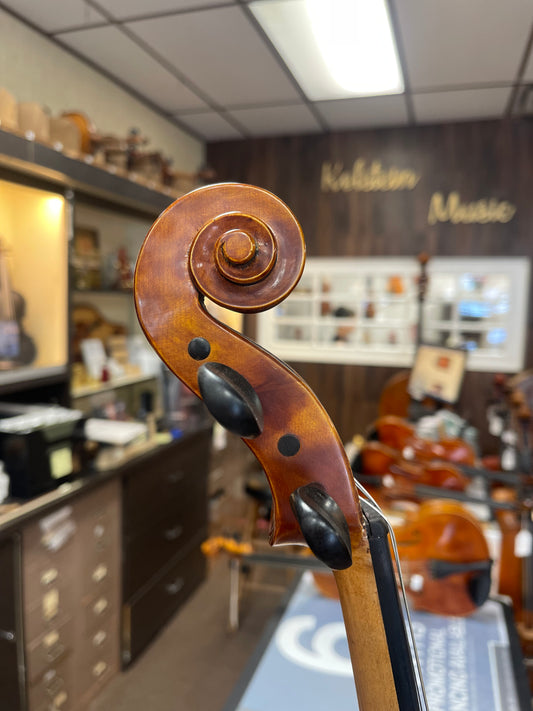 Liandro DiVacenza DVA 50 15.5"