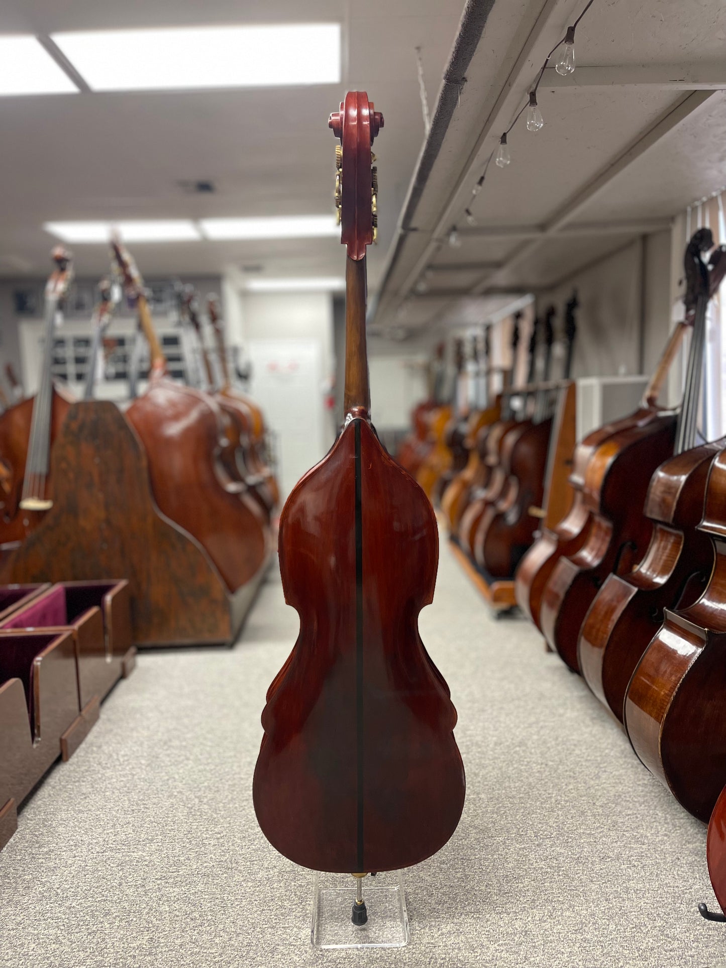 Busetto Bass Signed by Miroslav Vitous