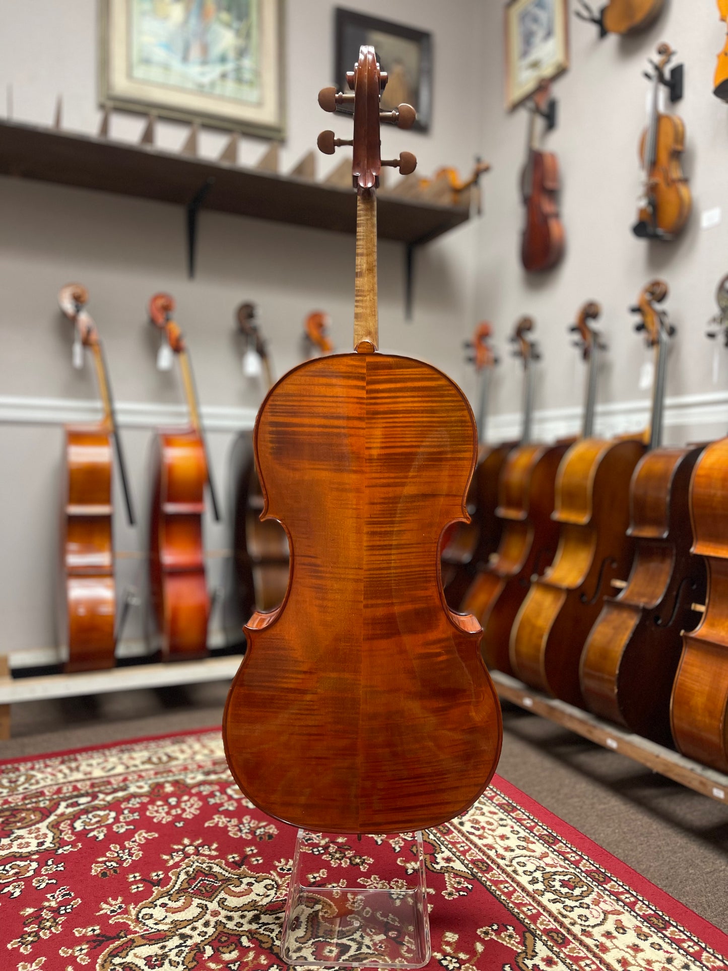 Havivi Cello