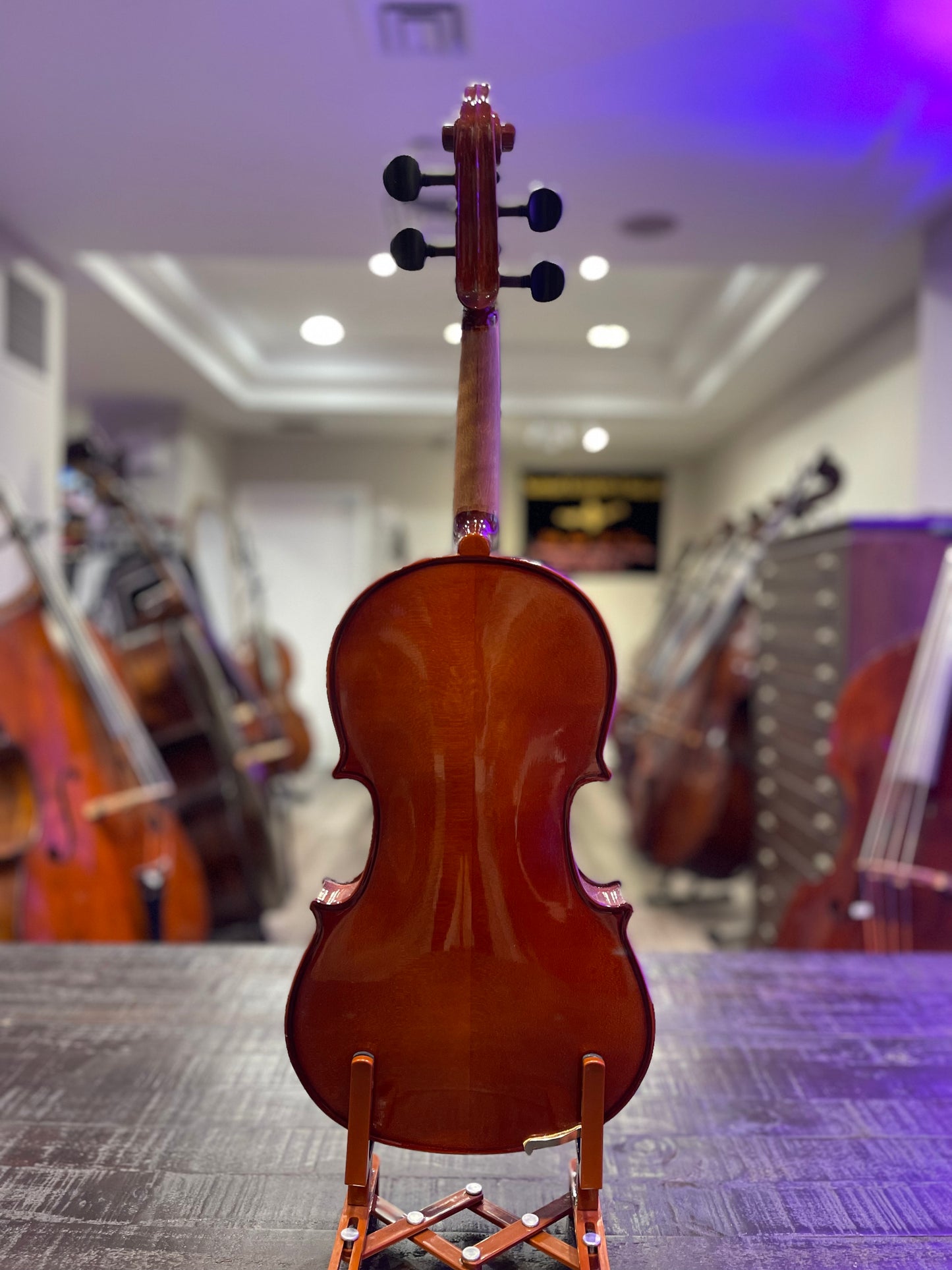 Liandro DiVacenza DVA25 Model 15 1/2” Viola