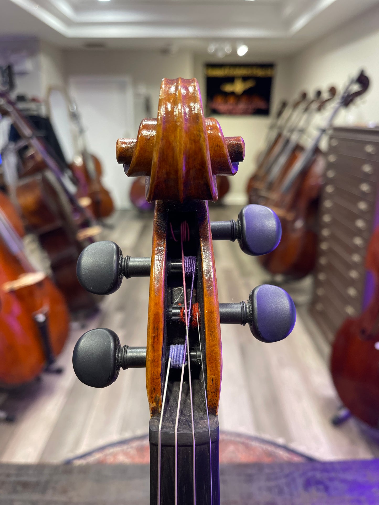 Liandro DiVacenza Model 600 16 1/2” Viola