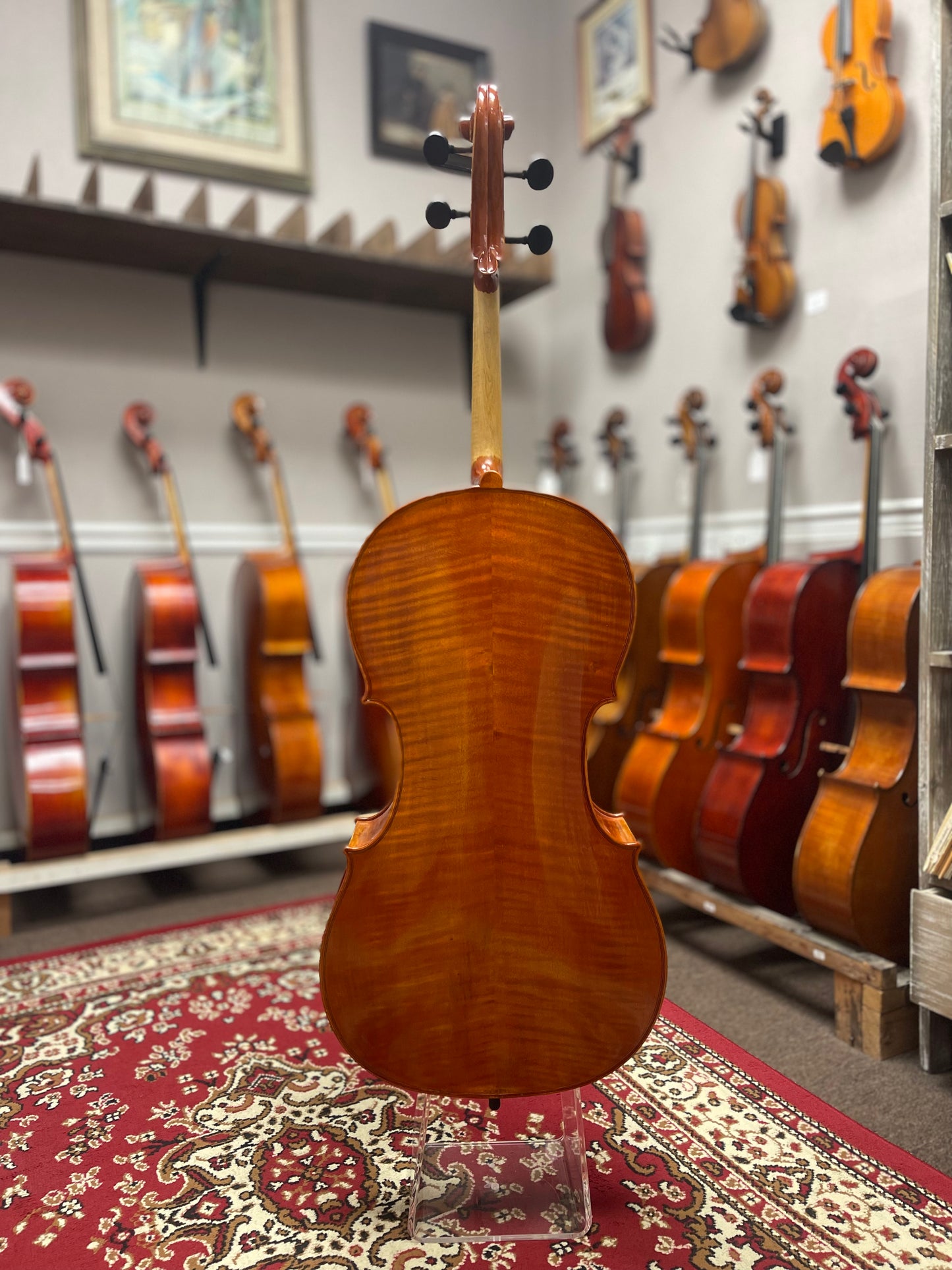 Liandro DiVacenza Cello DC200