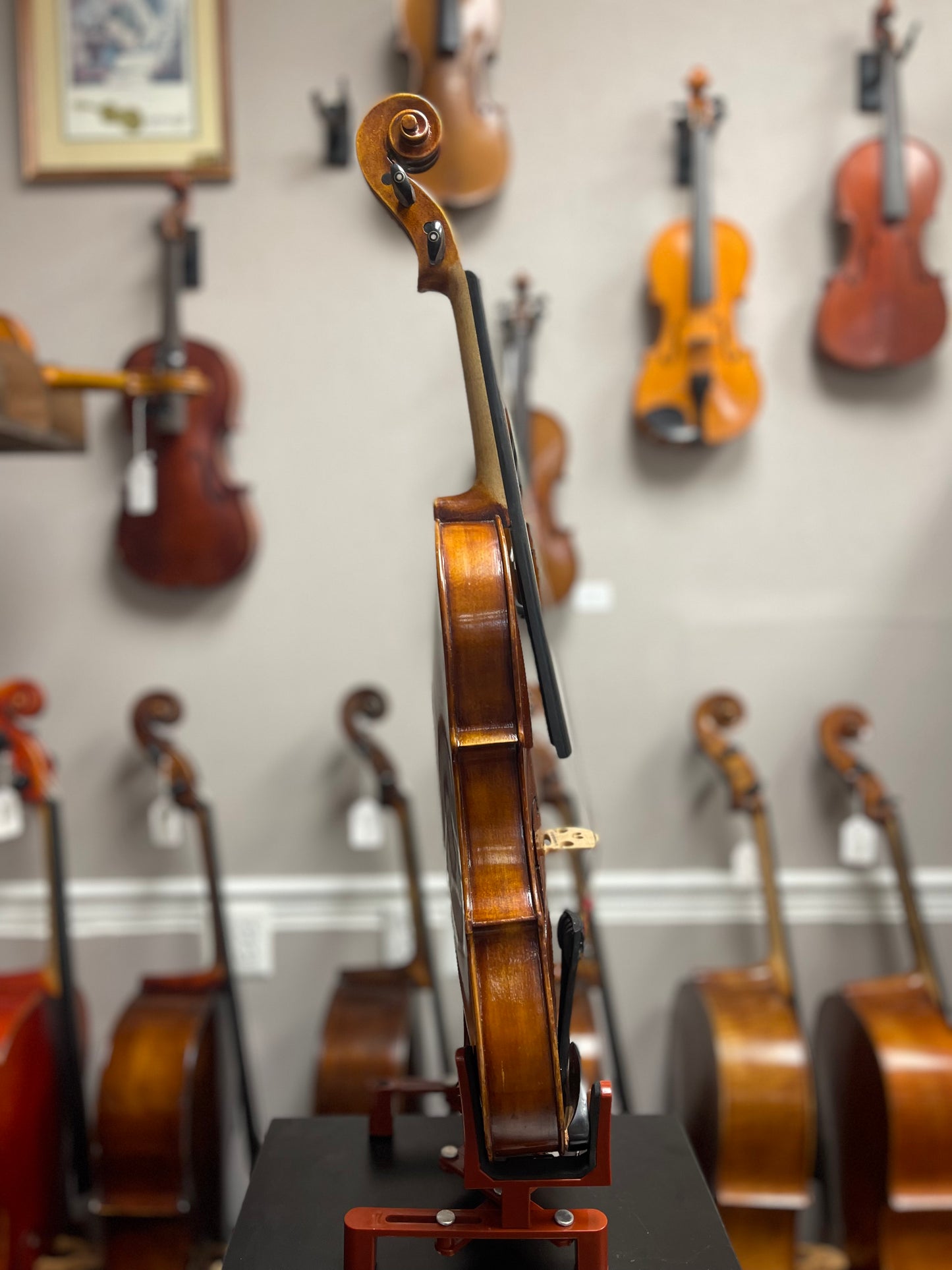 Liandro DiVacenza Viola DVA0 16"