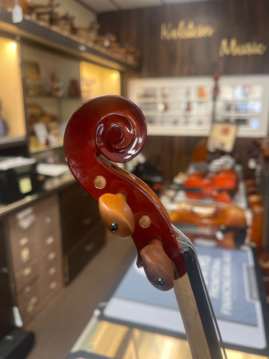 Liandro DiVacenza DV 20 Violin