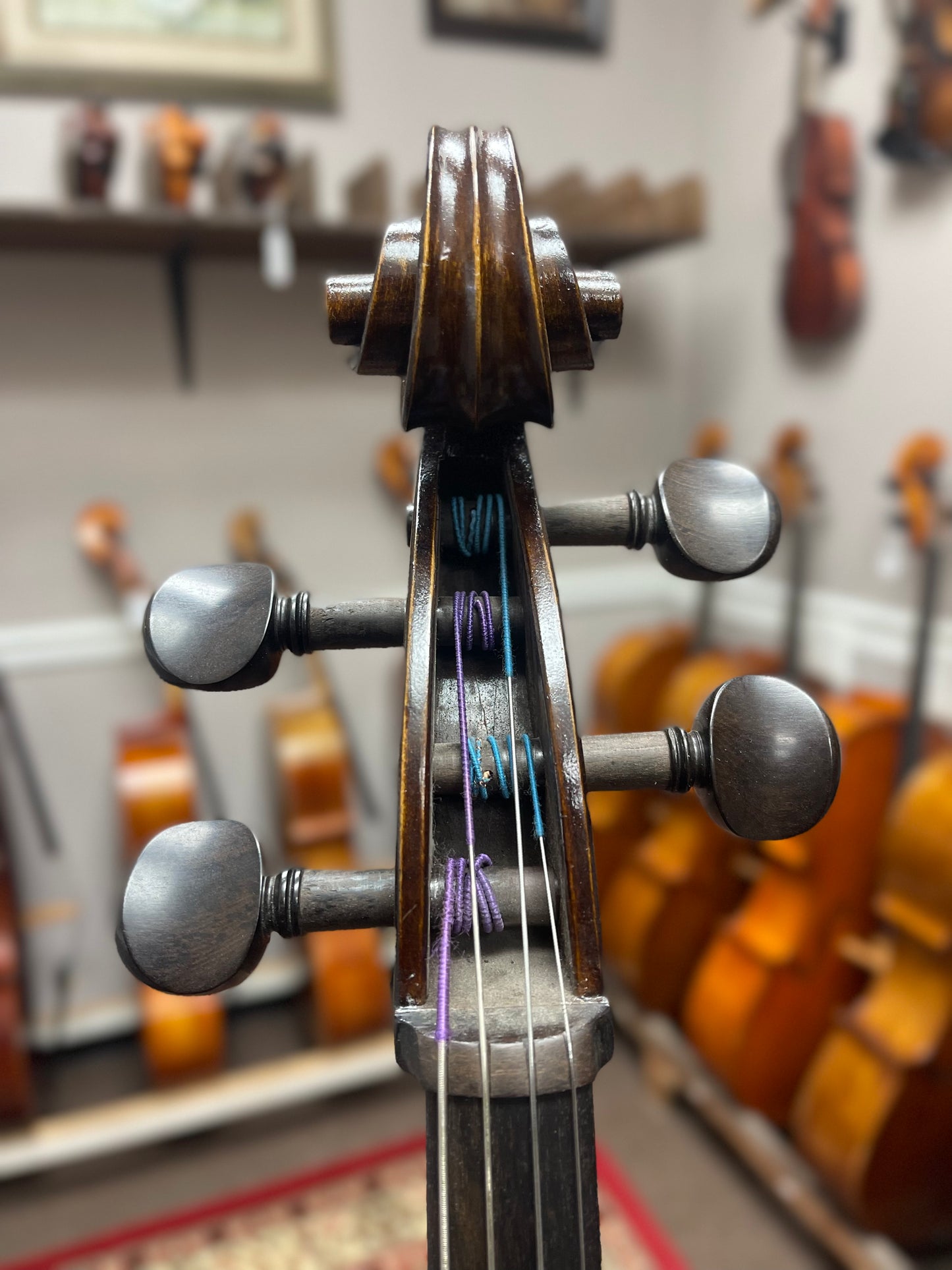 Kolstein Strad Cello