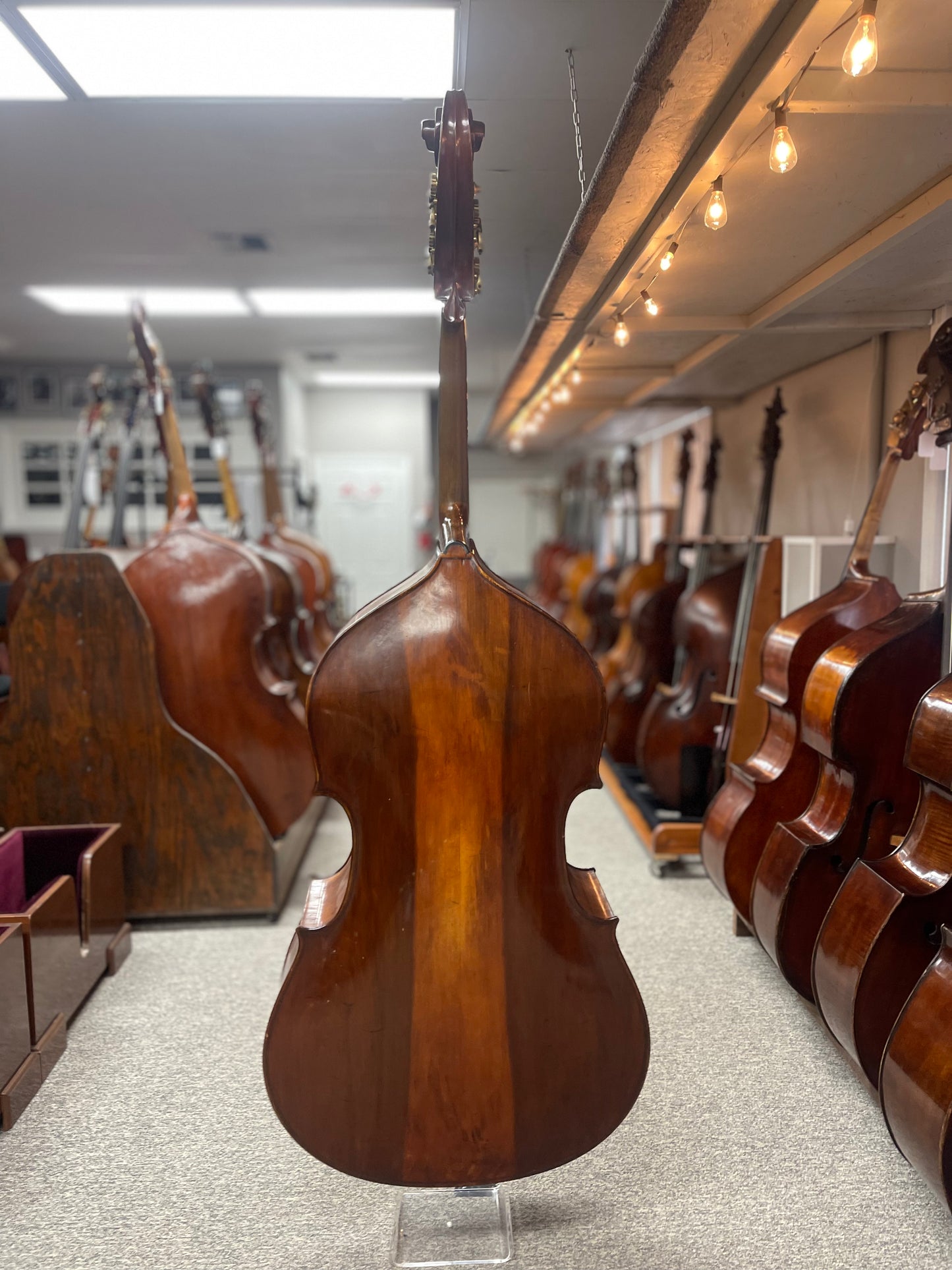 Chiericato Copy Bass