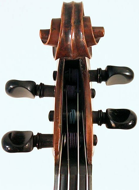 William Thompson Viola