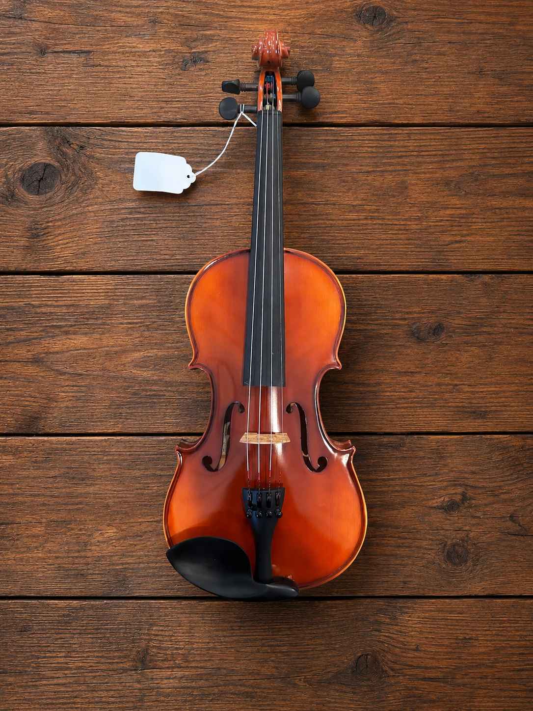 Liandro DiVacenza DV25 Violin