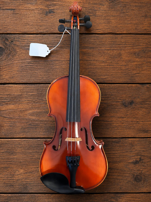 Liandro DiVacenza DV25 Violin