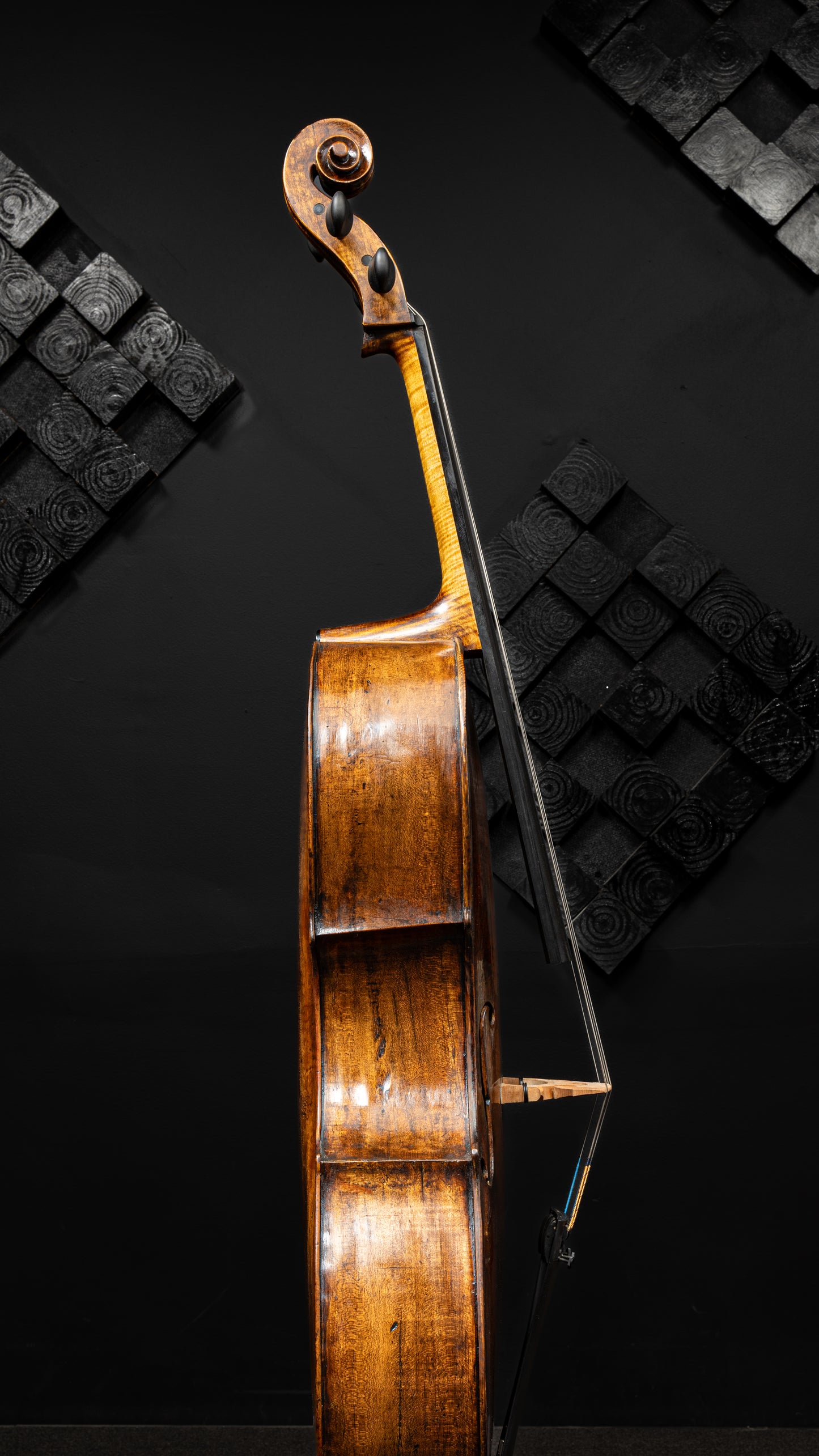 Johannes Paulus Christa Cello