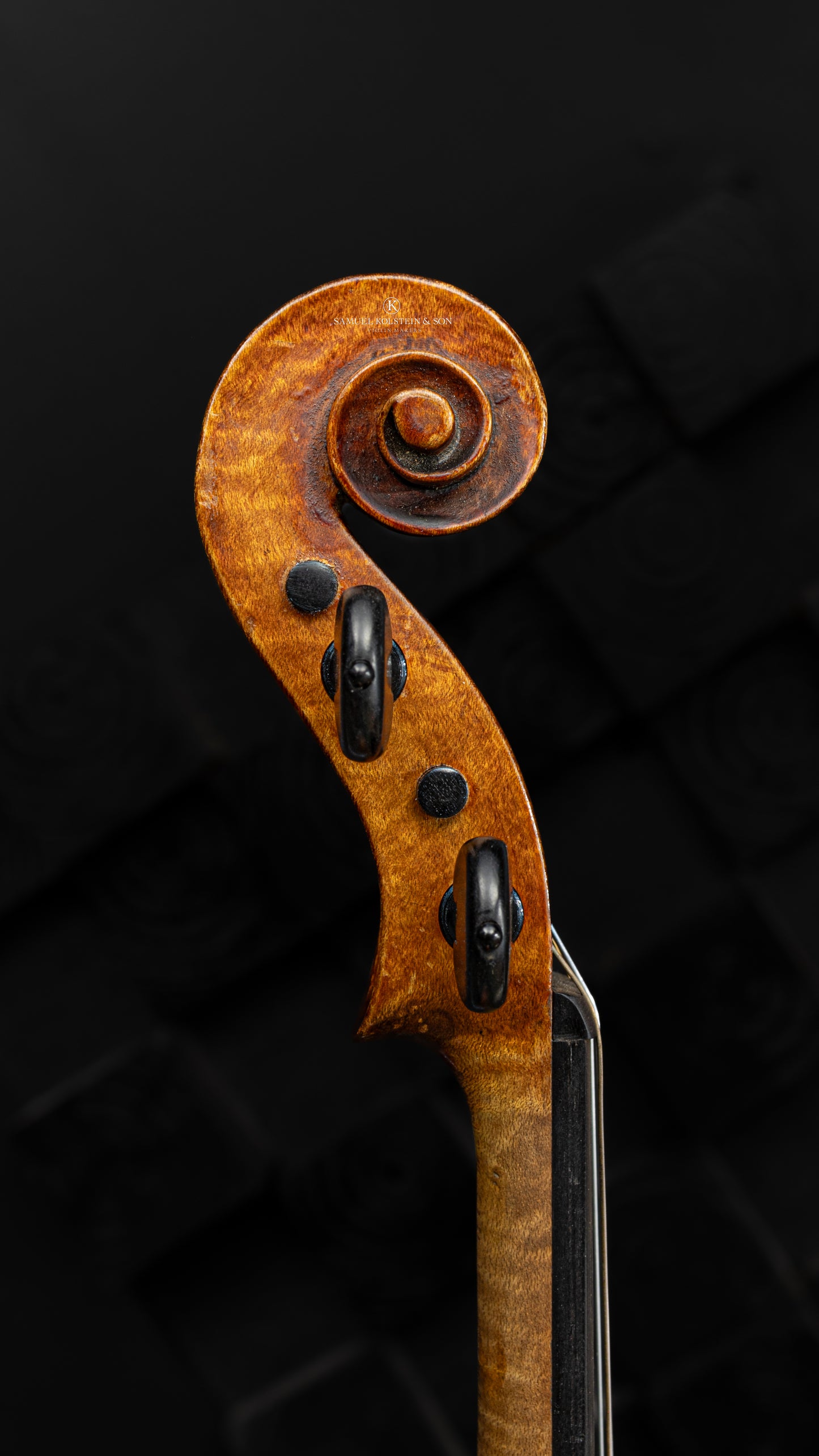 Conetto Puglisi Italian Violin