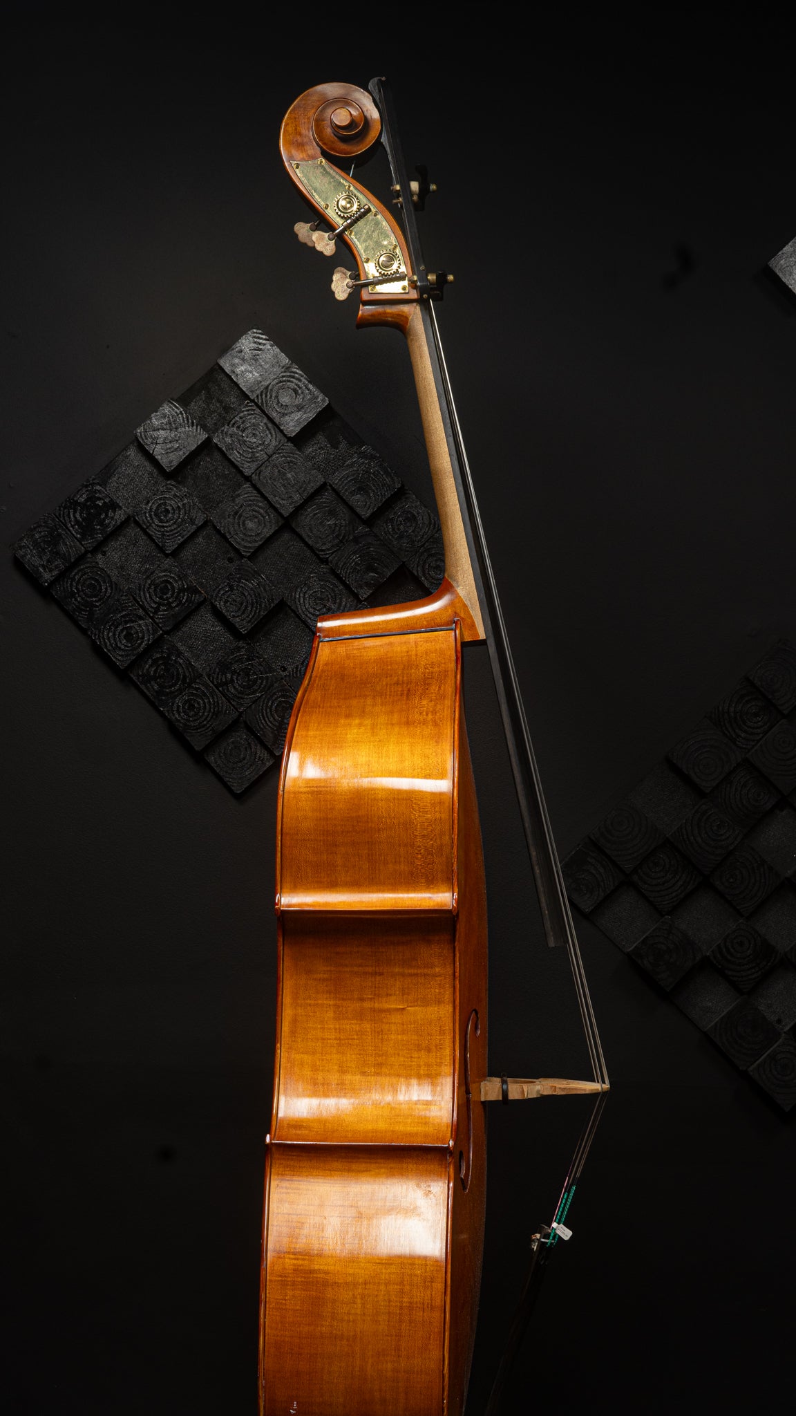 Gliga Euro Bass Violin