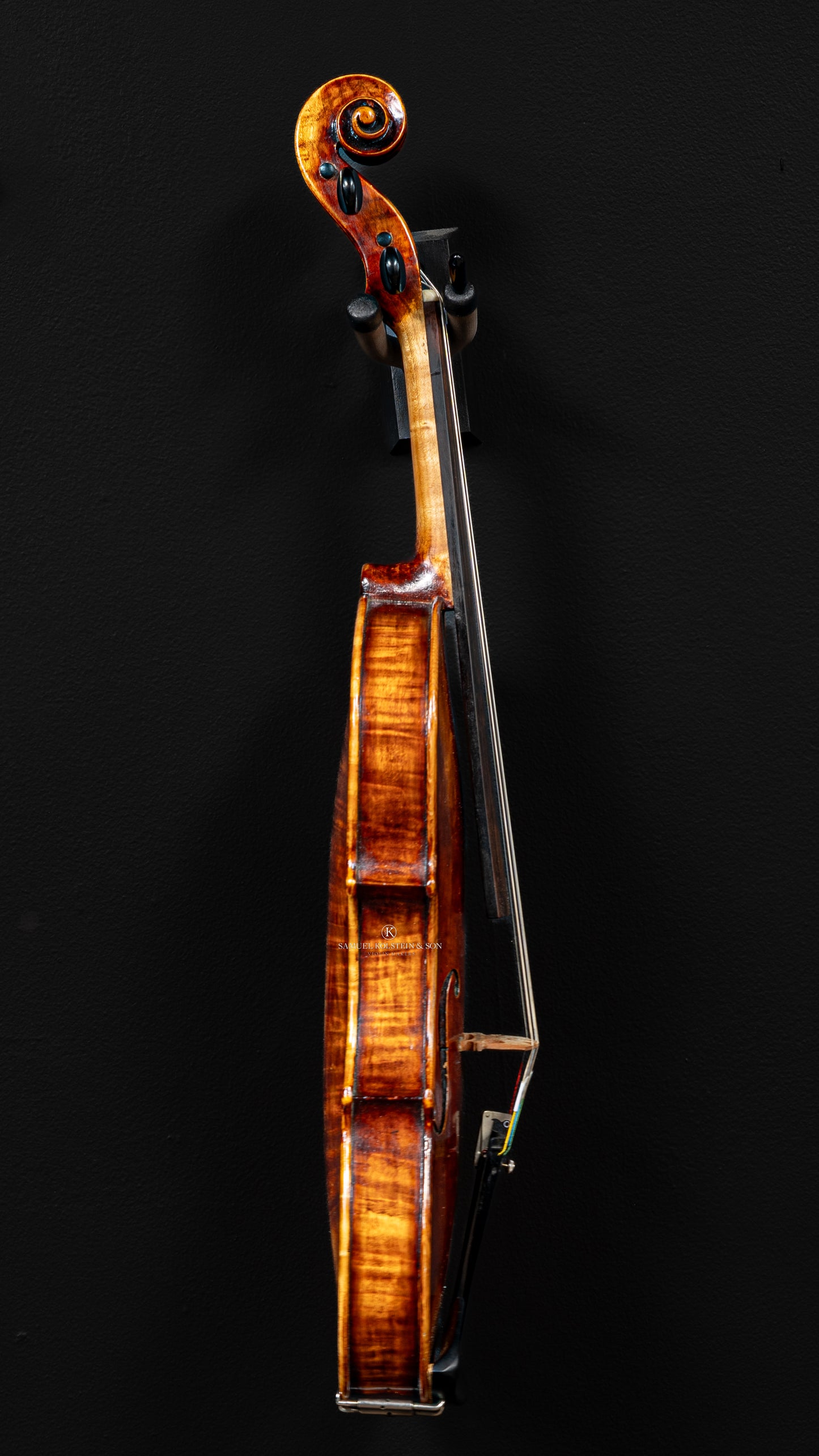 Giuseppe Pellacani Violin