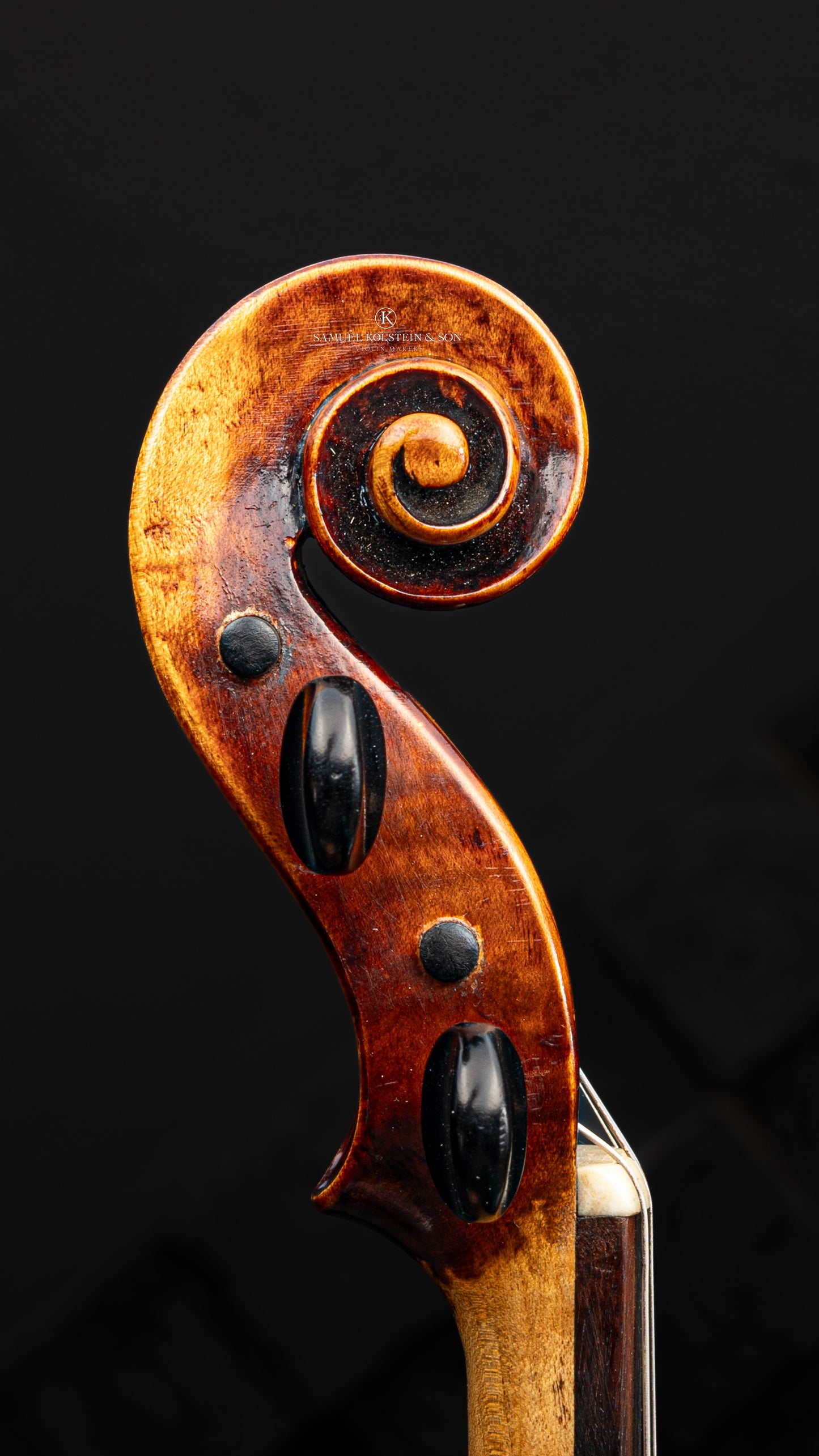 Giuseppe Pellacani Violin