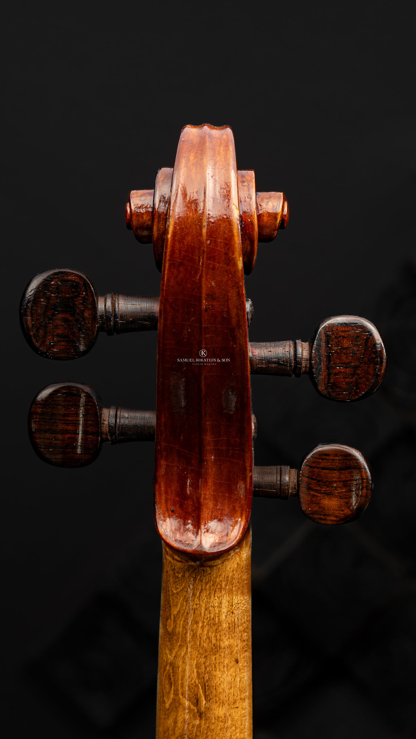 Guilio Degani Violin