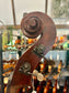 Kolstein Shop Montagnana Model Bass