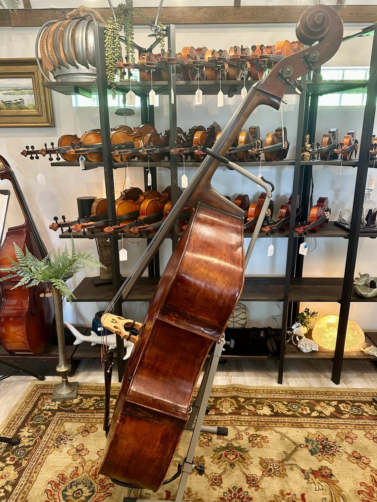 Kolstein Shop Montagnana Model Bass