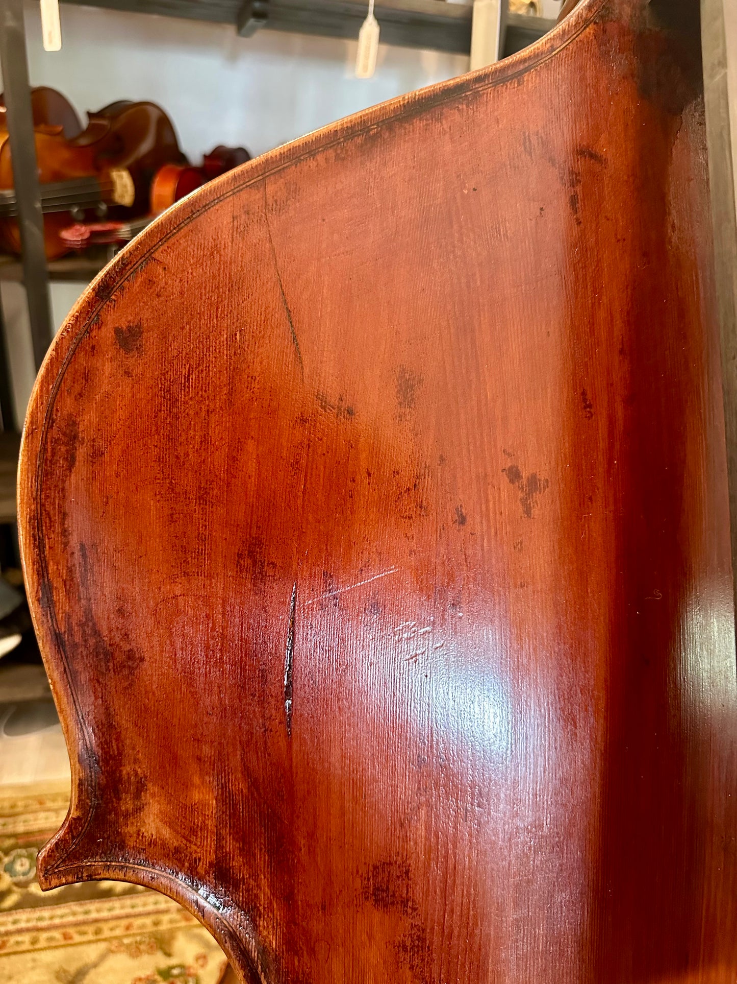 Kolstein Shop Montagnana Model Bass