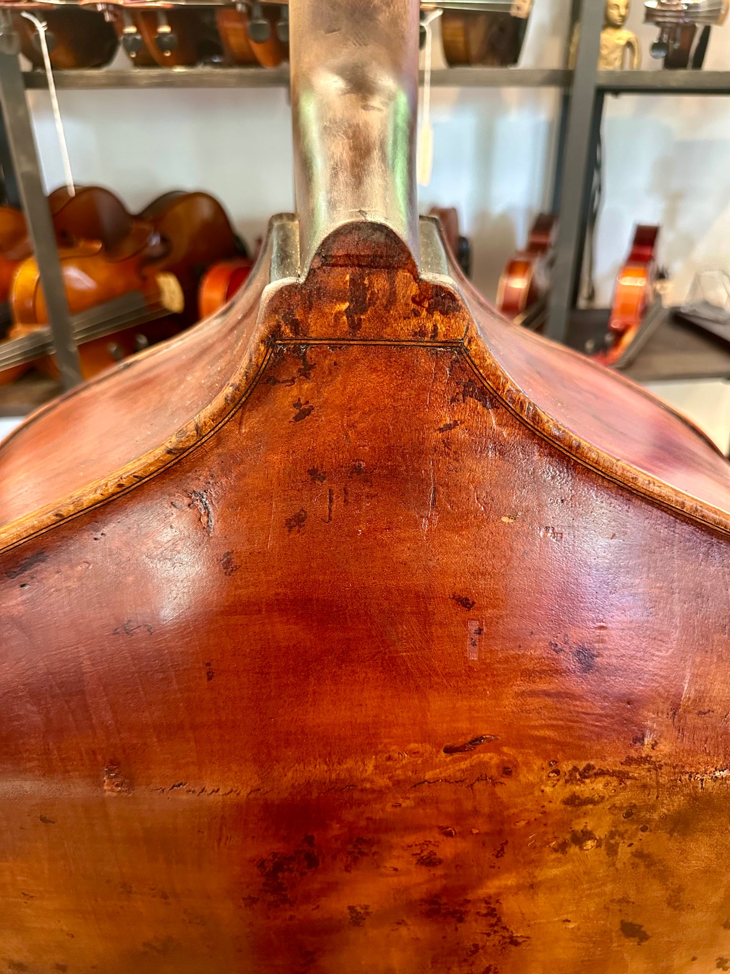 Kolstein Shop Montagnana Model Bass
