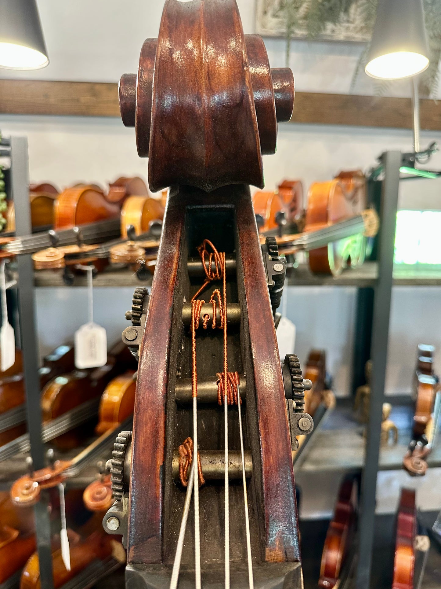 Kolstein Shop Montagnana Model Bass