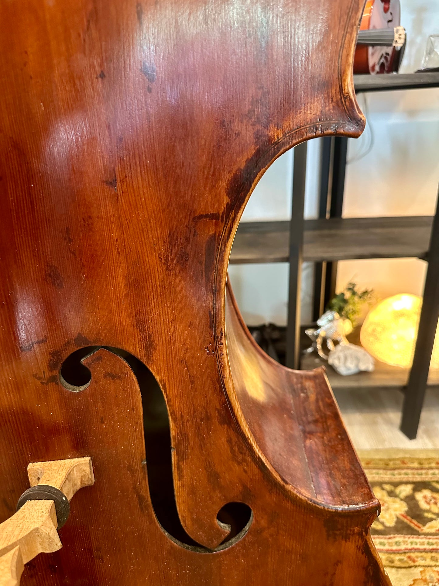 Kolstein Shop Montagnana Model Bass