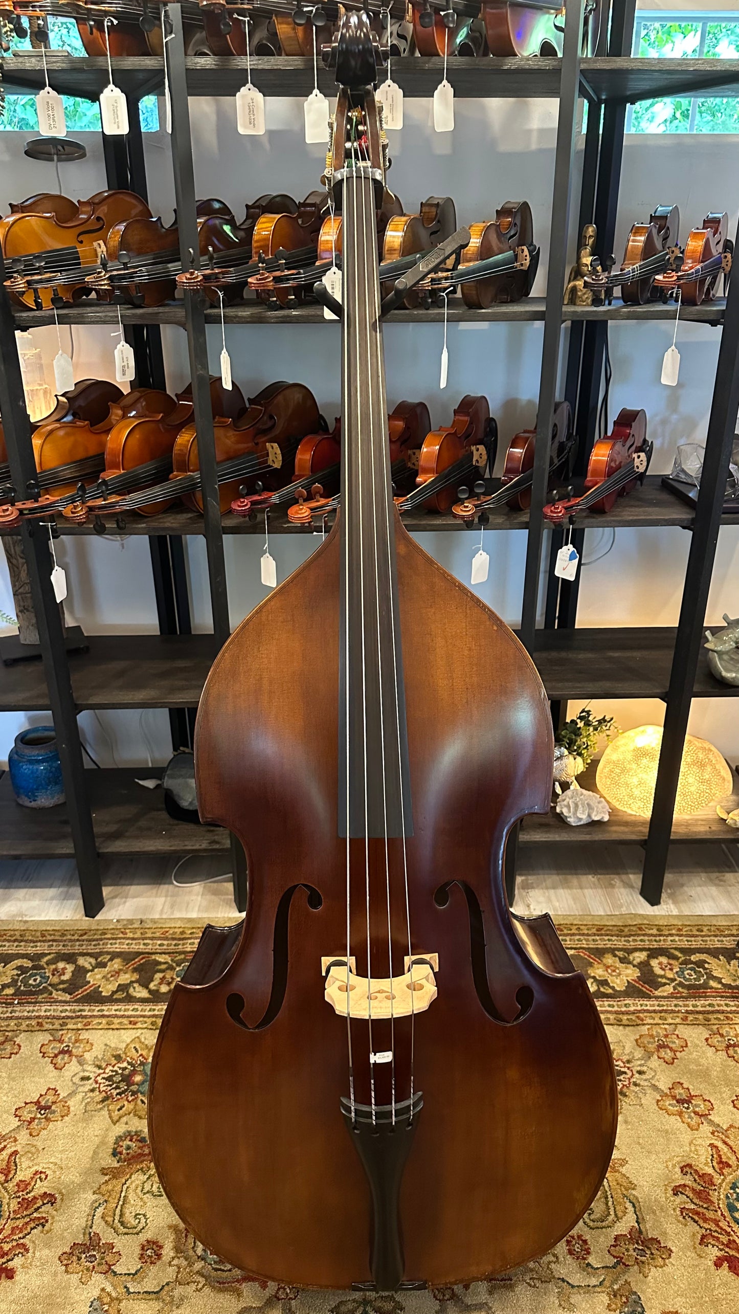 Liandro DiVacenza DB100 Plywood Bass