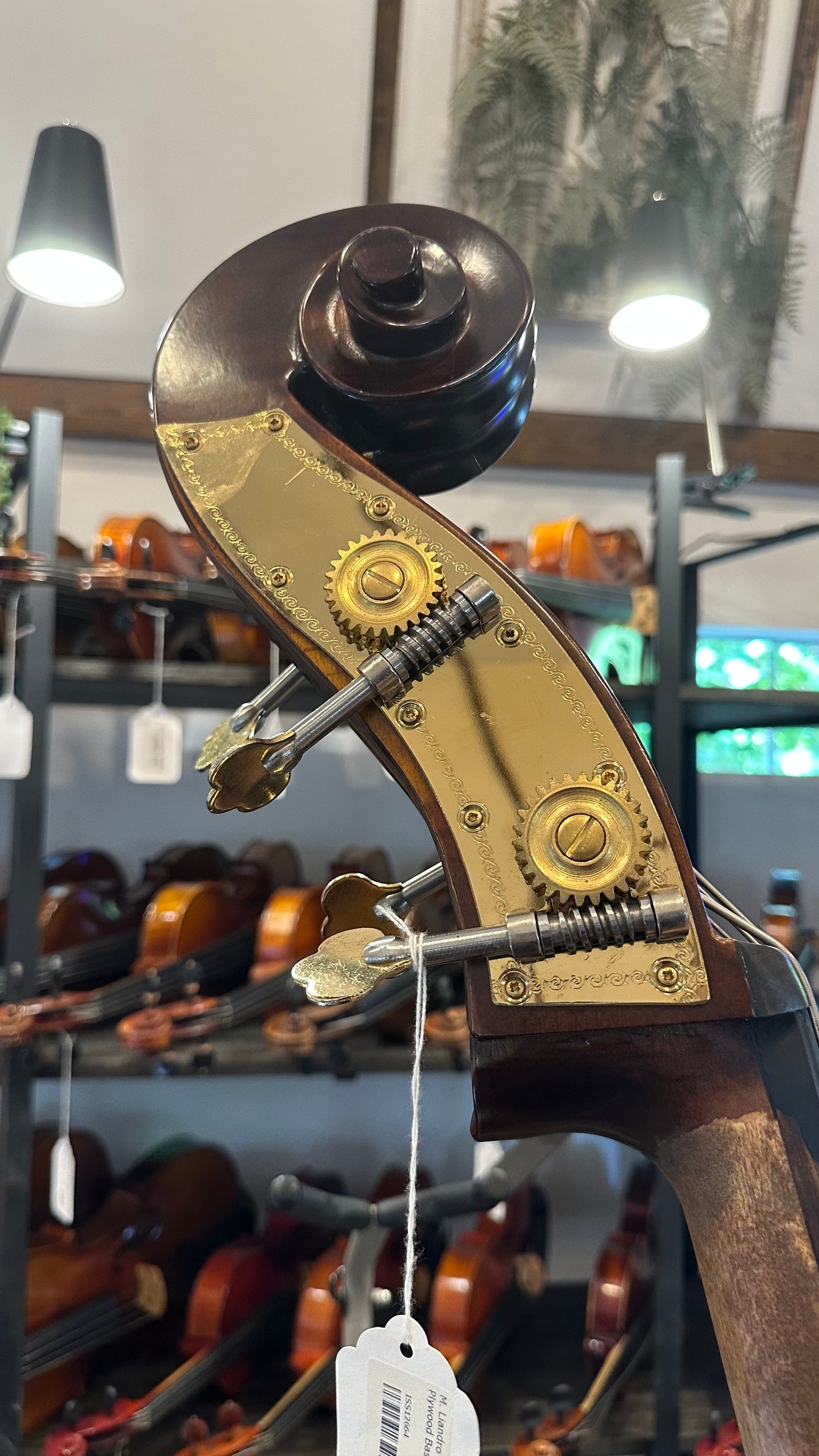 Liandro DiVacenza DB100 Plywood Bass