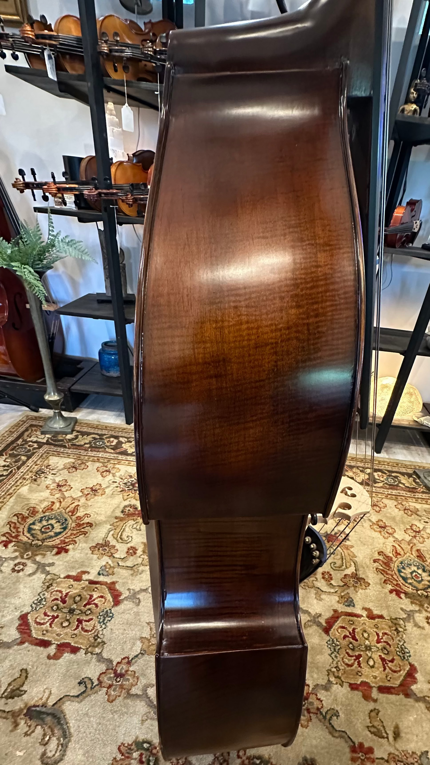 Liandro DiVacenza DB100 Plywood Bass