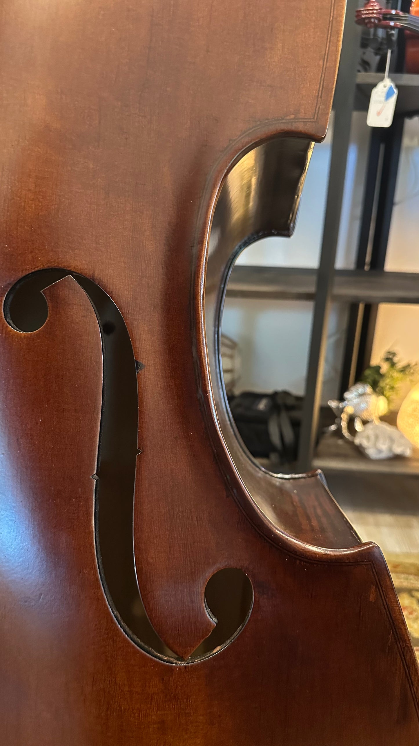 Liandro DiVacenza DB100 Plywood Bass