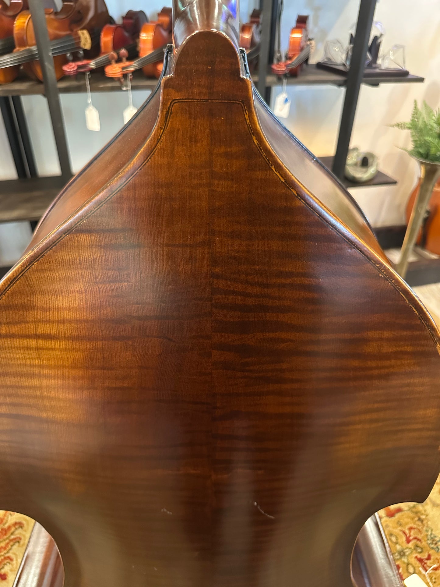 Liandro DiVacenza DB100 Plywood Bass