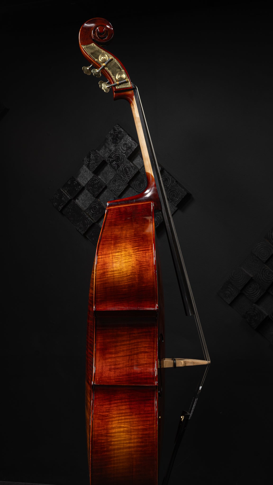 Liandro DiVacenza DB150 Hybrid Bass
