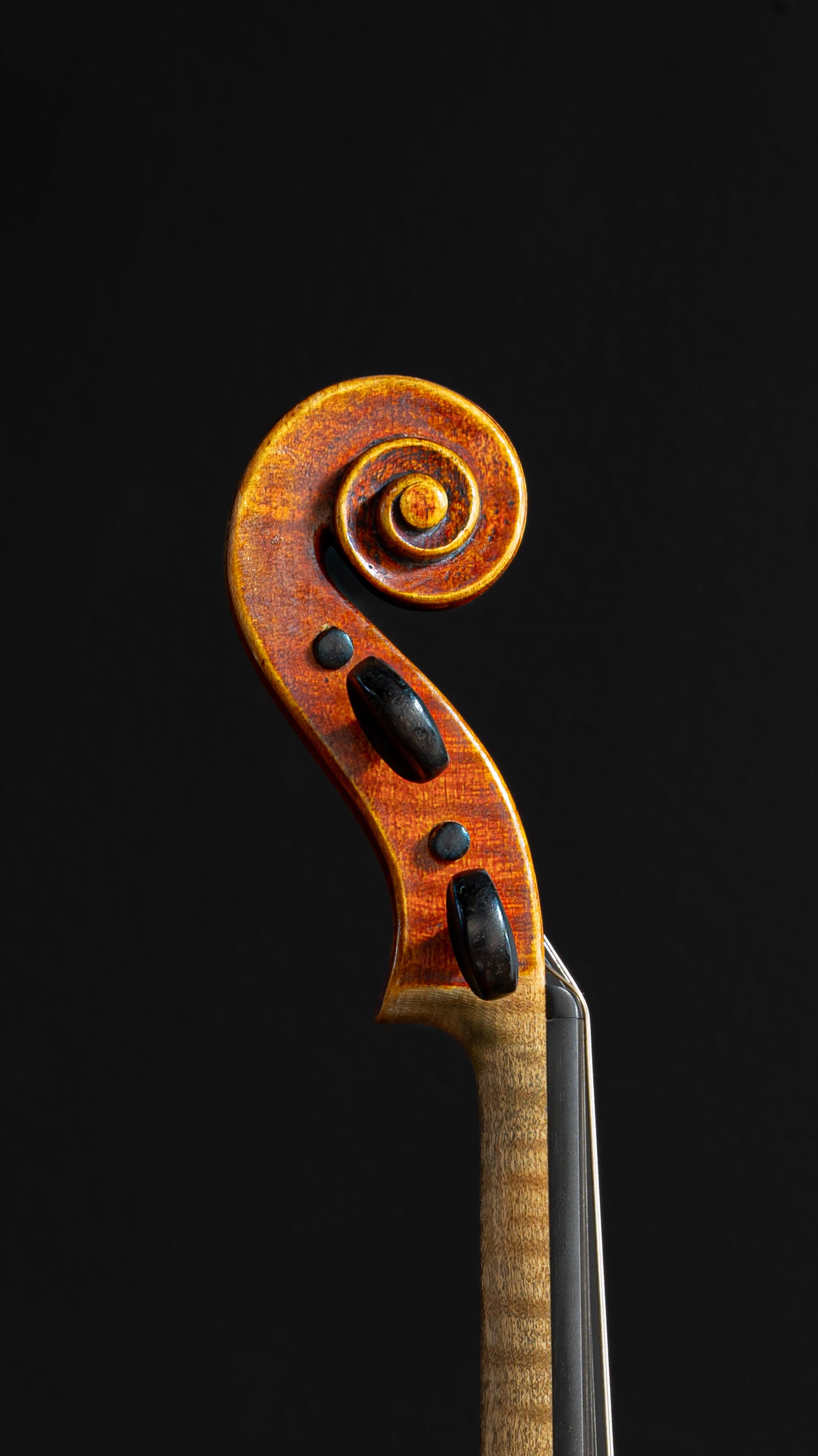 Marsigliesi Violin