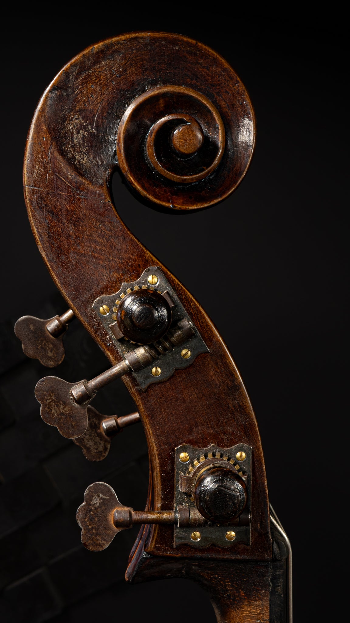 Attr. Custode Marcucci Bass made in Ravenna, Italy 1933