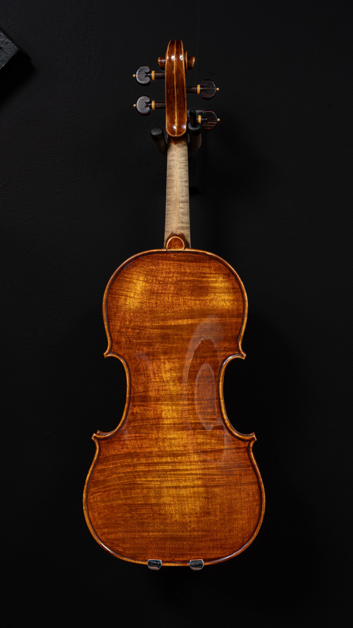 Davide Negroni Violin
