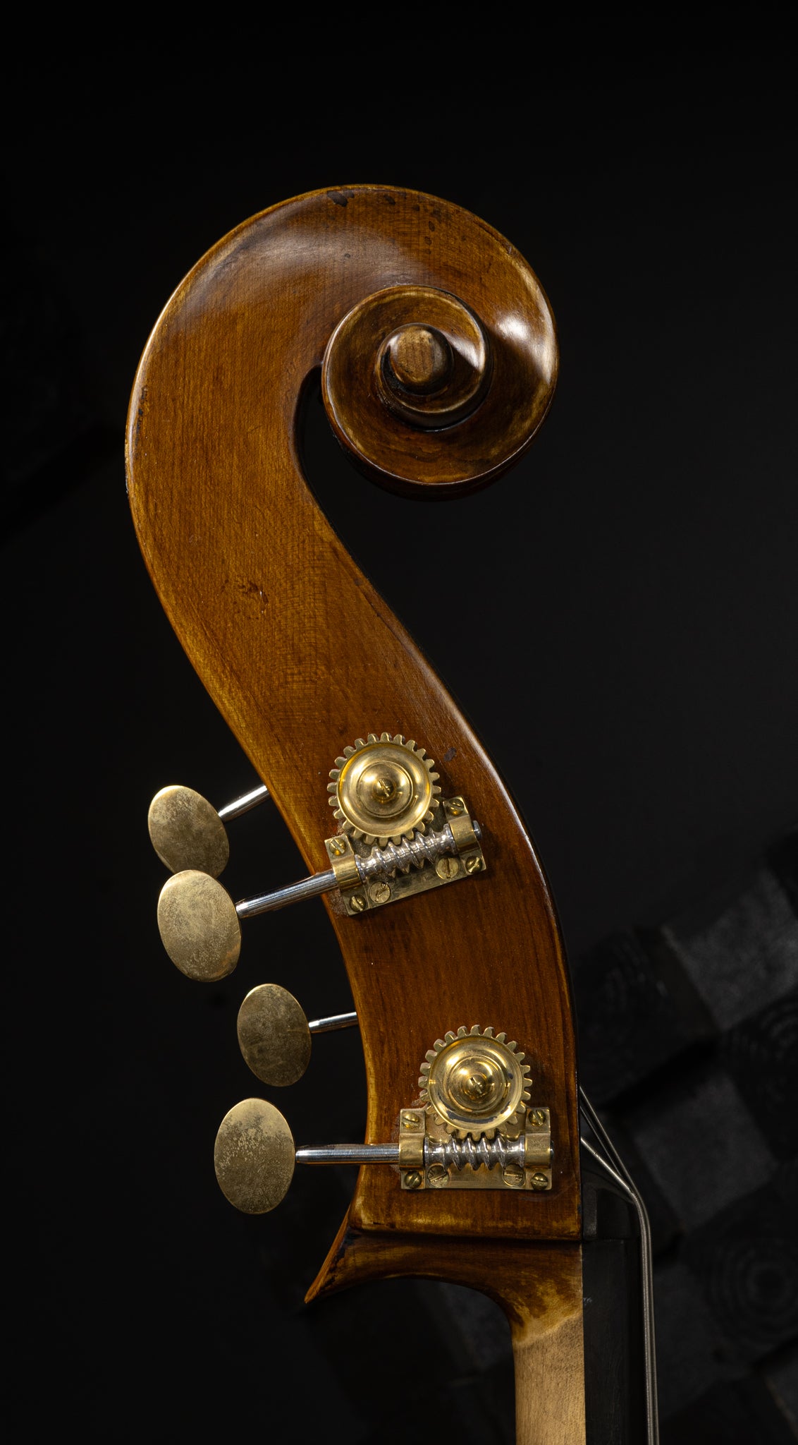 Kolstein Panormo Bass