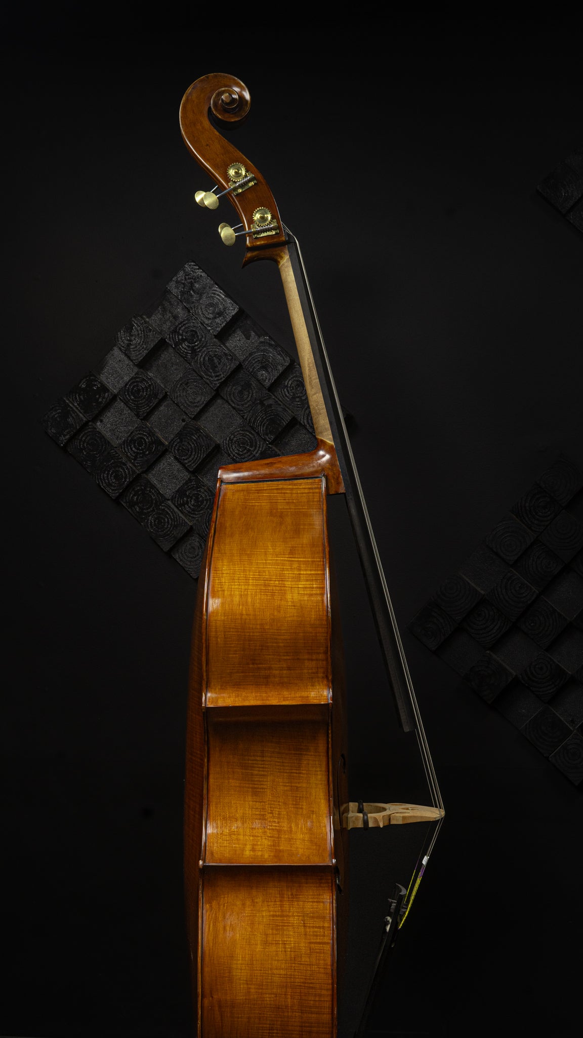 Kolstein Panormo Bass