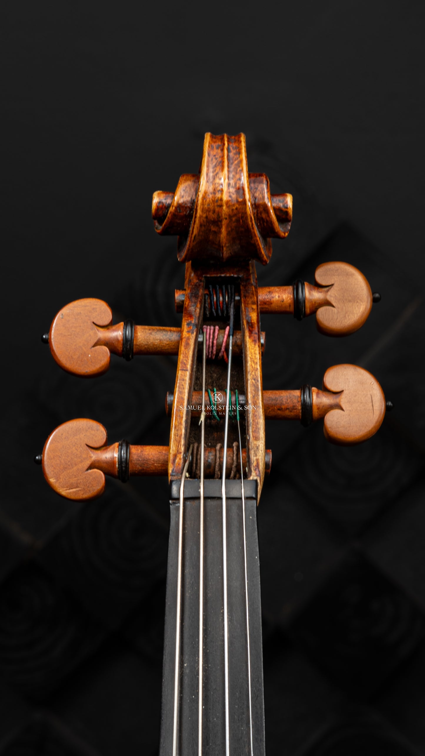 Savinus Cavalli Violin