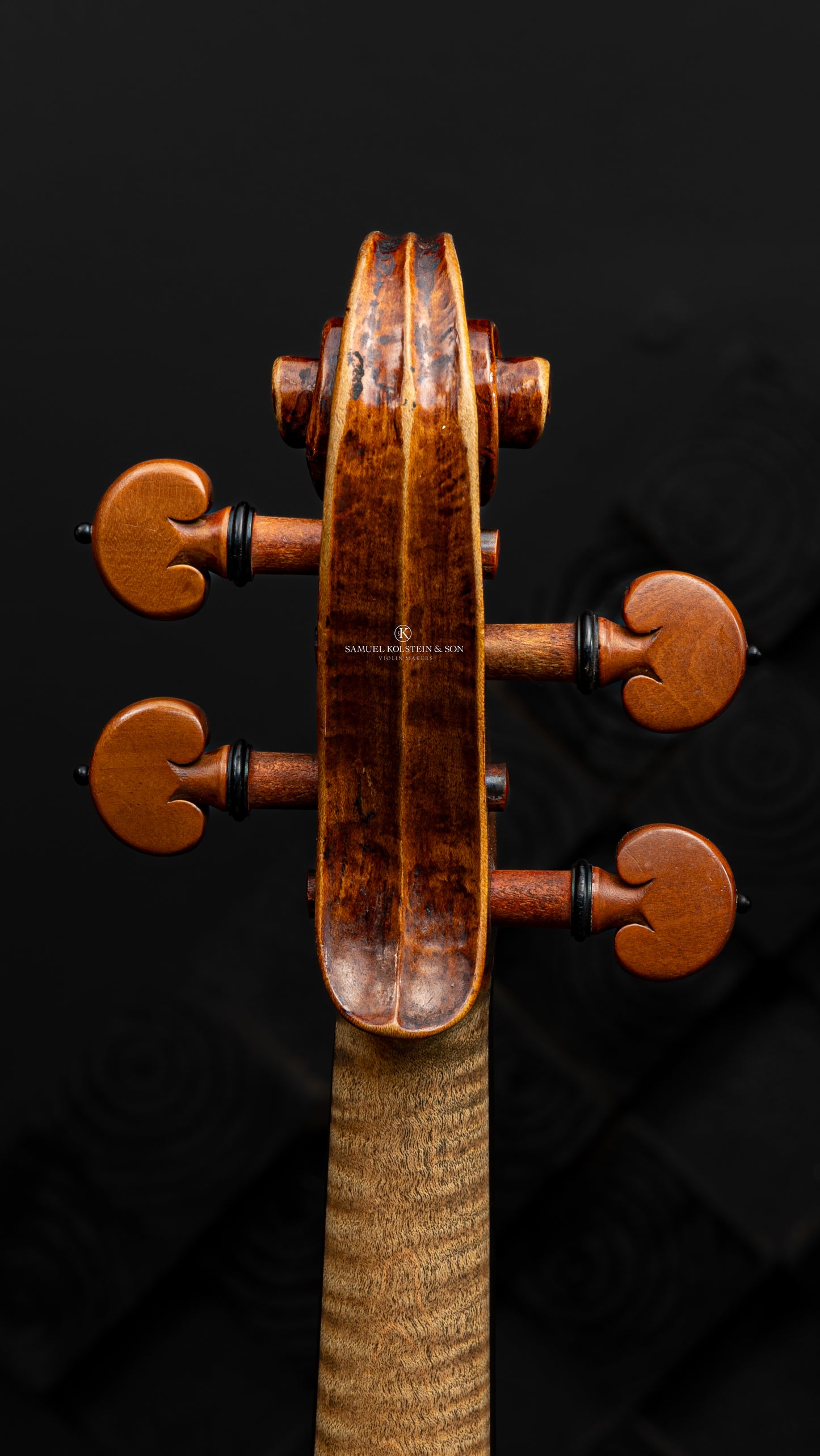 Savinus Cavalli Violin