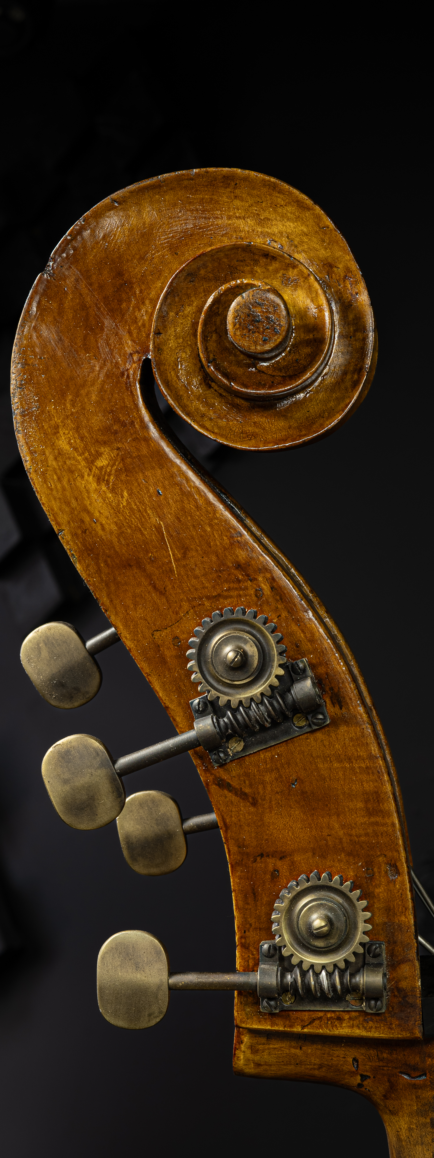 Marino Tarantino Bass Violin