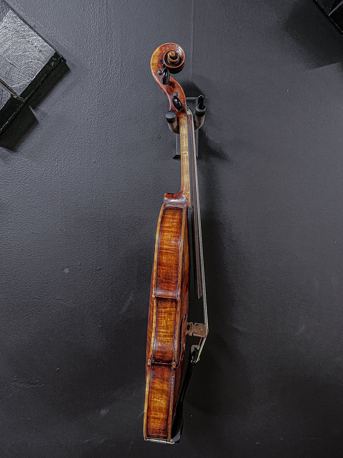 Giuseppe Pellacani Violin