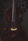 19th Century Northern Italian Bass Violin