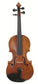 Mark William Dearlov Violin