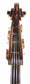 Ferrara Bass Violin Circa 1830