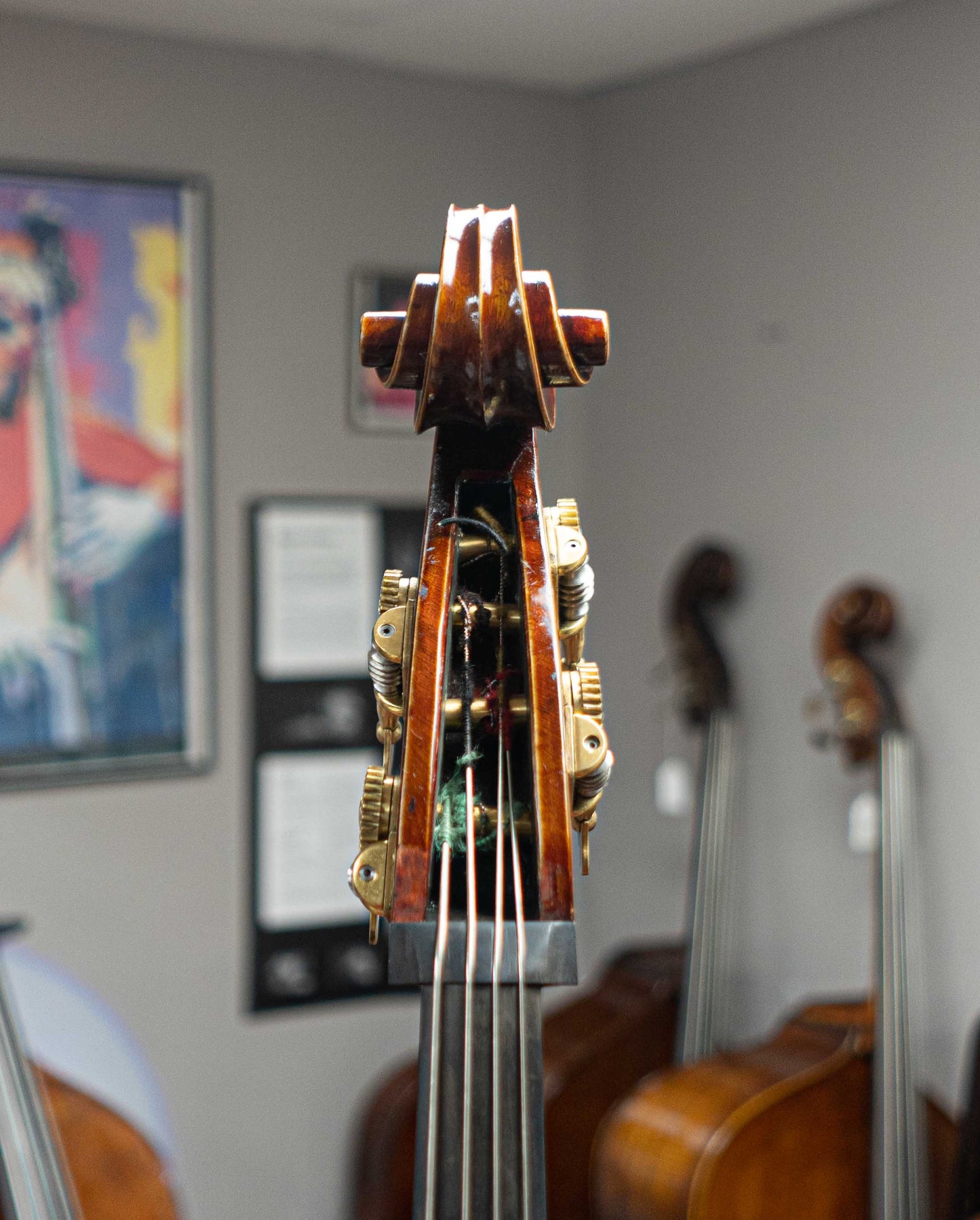 Quenoil Model Bass