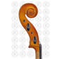 Liandro DiVacenza™ Hybrid Cello