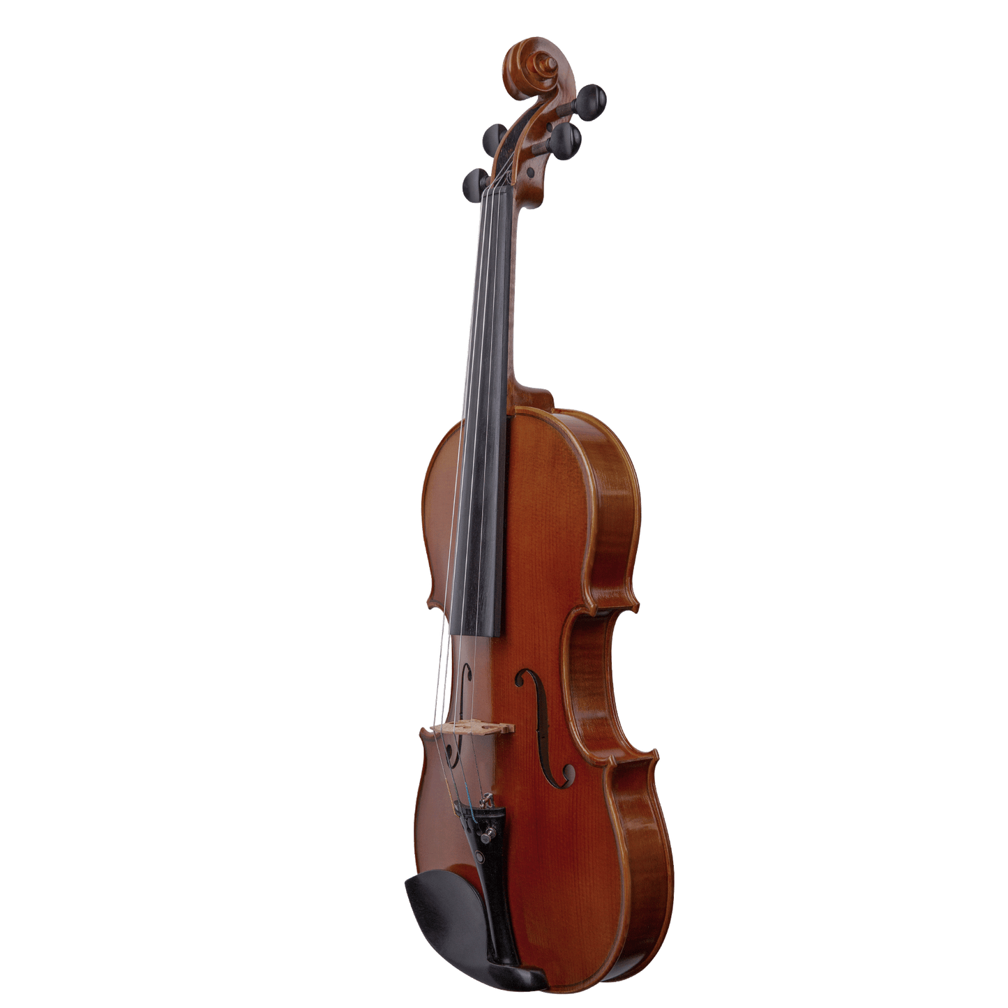 Liandro DiVacenza™ Master Art Violin