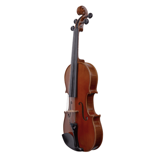 Liandro DiVacenza™ Master Art Violin