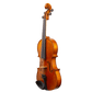 Liandro DiVacenza™ DVA100 Viola