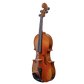 Liandro DiVacenza™ Master Art Viola
